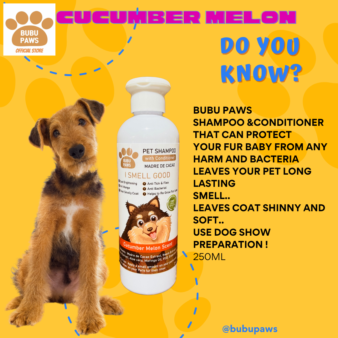 Bubu Paws Dog Shampoo & Conditioner 250ML - Anti-Ticks, Fleas-Mange Treatment-Ideal for Smelly Coats